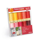 Gäthermann thread set packaging with colorful threads inside on a white background