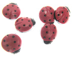 Ladybird Buttons (sizes 15mm & 20mm) CN16