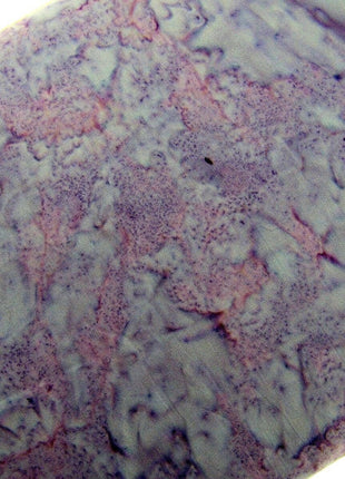 ** SEW SIMPLE POLO BATIK FAT QUARTER FABRIC L4 (Col 85 -112) CRAFTING & QUILTING - ThreadandTrimmings
