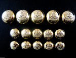 A Set of Polished Gold Green Howard Blazer Domed Plastic Shank Buttons (B108)