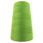 Lime / x 1 cone