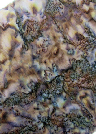 ** SEW SIMPLE POLO BATIK FAT QUARTER FABRIC L2 (Col 29 -56) CRAFTING & QUILTING - ThreadandTrimmings