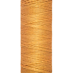 Col 300 - Mustard
