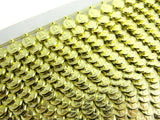 Coin Trimming - Small Gold or Silver - 10mm Wide Plastic Trimming - 0404-0204