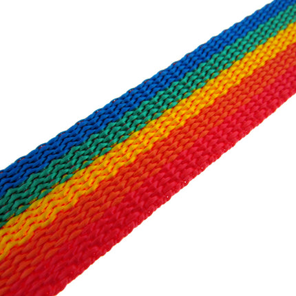 Rainbow Webbing Gay Pride Polypropylene Strapping For Bags/Leash 25mm/40mm/50mm - ThreadandTrimmings
