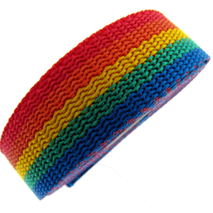 A multicolored striped webbing strap, featuring bands of red, yellow, blue, and green, designed for crafting bags or leashes.