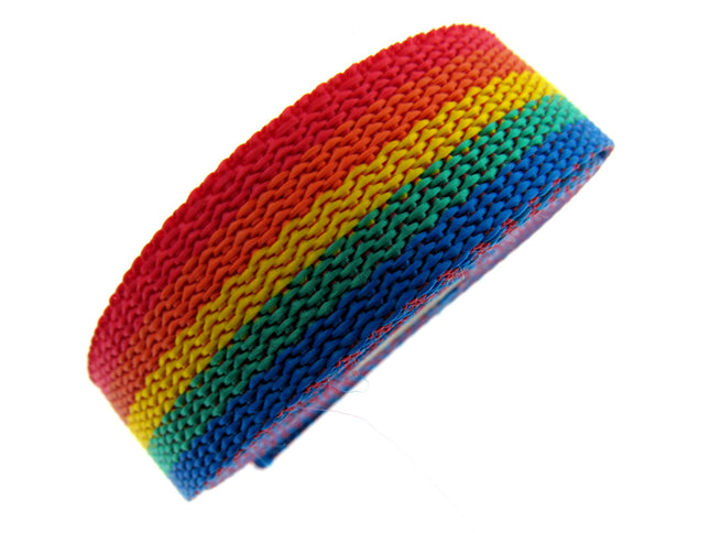 A multicolored striped webbing strap, featuring bands of red, yellow, blue, and green, designed for crafting bags or leashes.