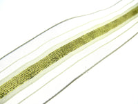 2m x 40mm Wired Ivory Lurex Ribbon